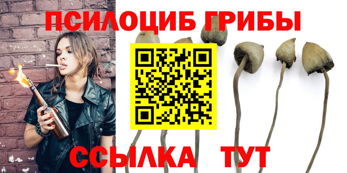 закладки  Вход с VPN  Набережные Челны  Псилоцибиновые грибы Psilocybe 